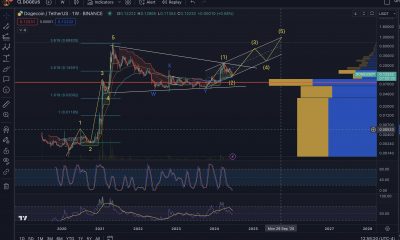DOGE /USDT possible count into 2025