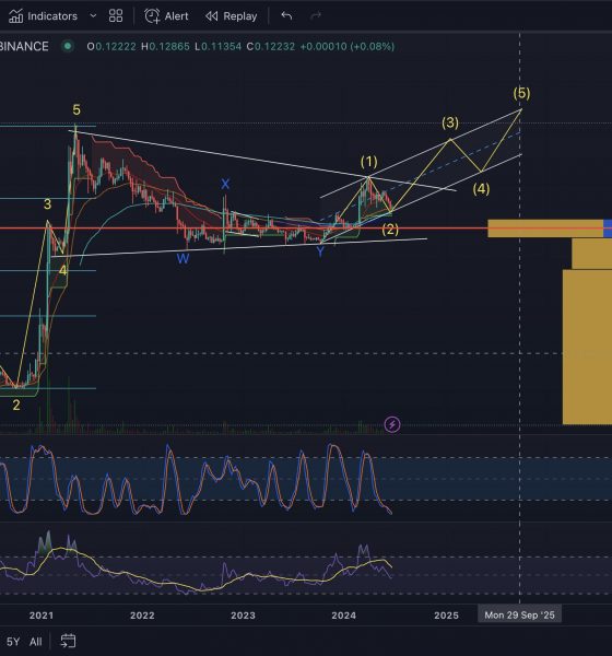 DOGE /USDT possible count into 2025