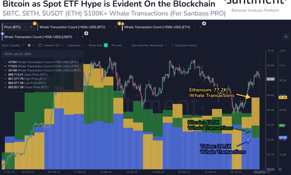 Ethereum, Bitcoin, Tether Whale Transaction Count