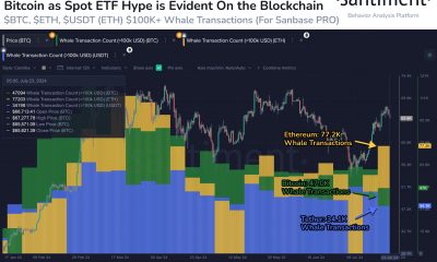 Ethereum, Bitcoin, Tether Whale Transaction Count