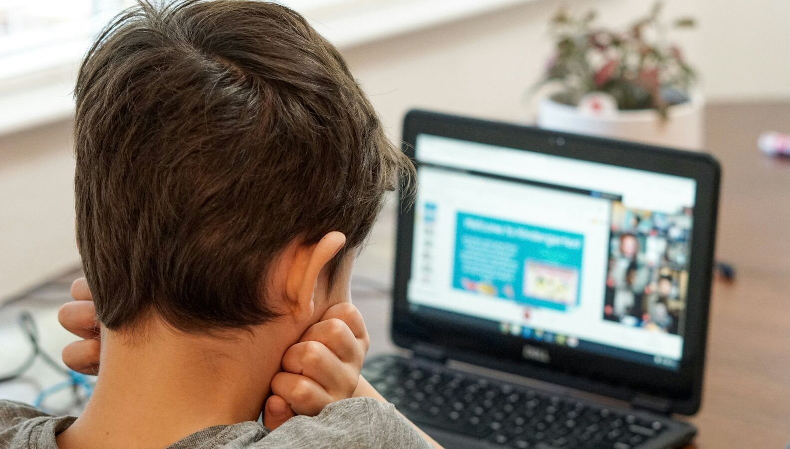 Laptop buying guide for students: How to find the best laptops for students and our top picks