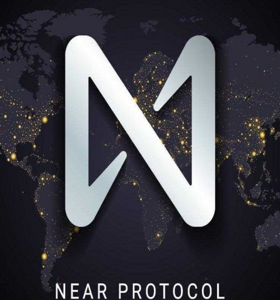 Near Protocol Price Prediction
