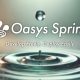 Oasys Launches the beta version of Oasys Spring