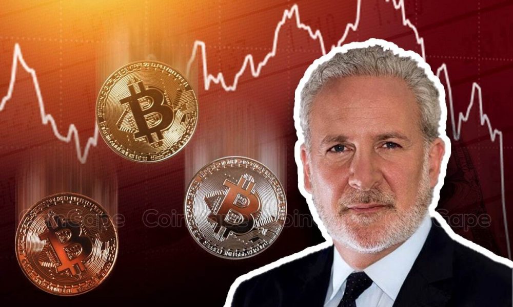 Peter Schiff Claims Bitcoin Whales Set Up ETF Investors As "Bag Holders"