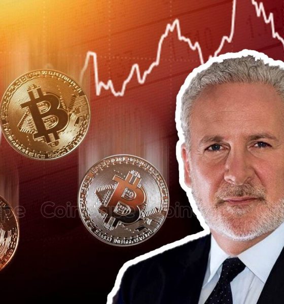 Peter Schiff Claims Bitcoin Whales Set Up ETF Investors As "Bag Holders"