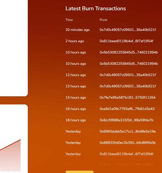 Shiba Inu Burn Rate
