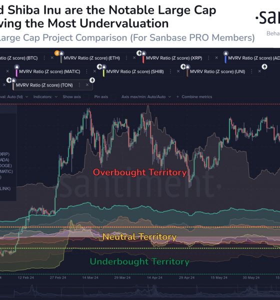 Shiba Inu & Bitcoin MVRV