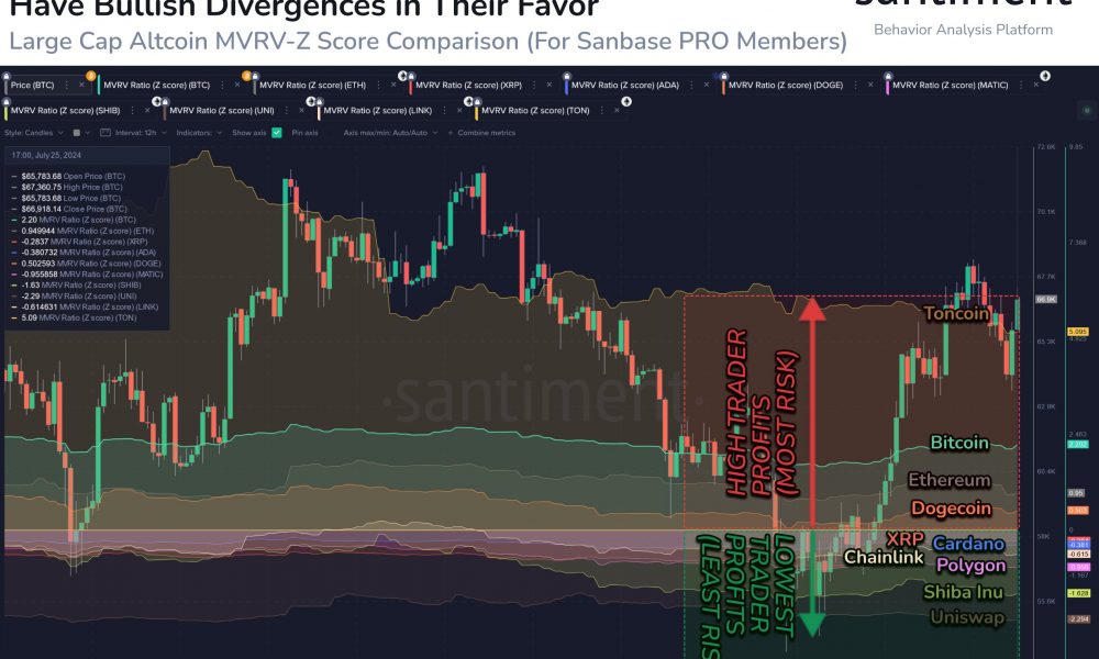 Shiba Inu, XRP MVRV Z-Score