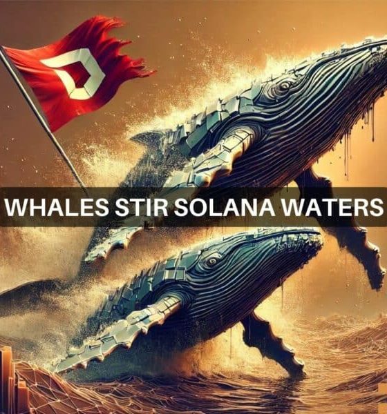 Solana's $57M whale move raises red flags - Here's why