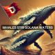 Solana's $57M whale move raises red flags - Here's why