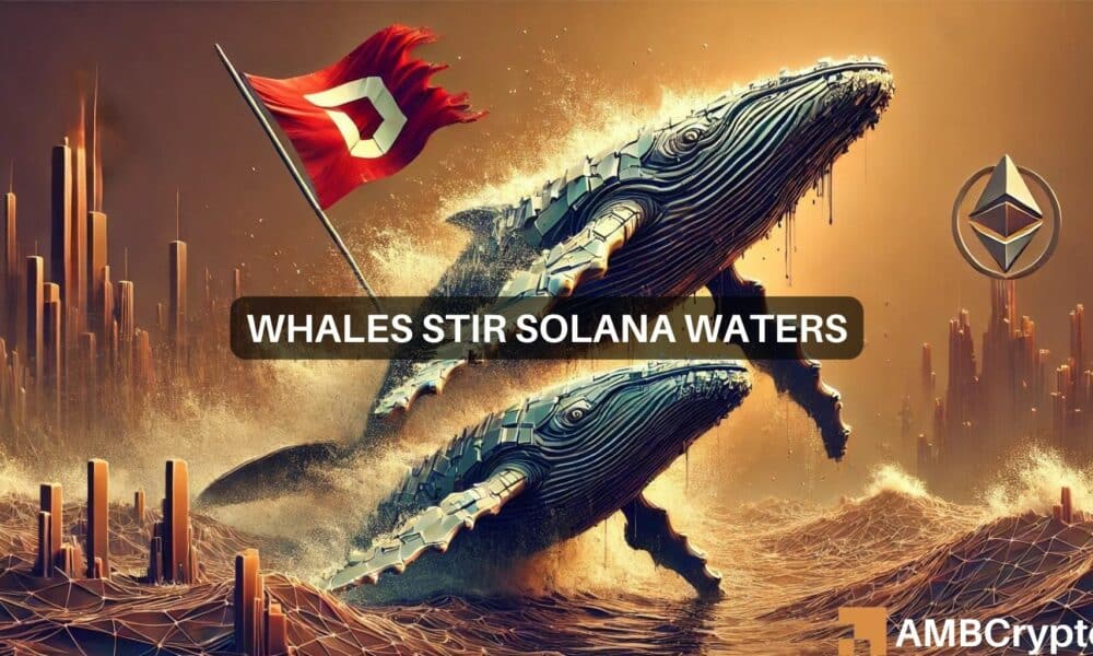 Solana's $57M whale move raises red flags - Here's why