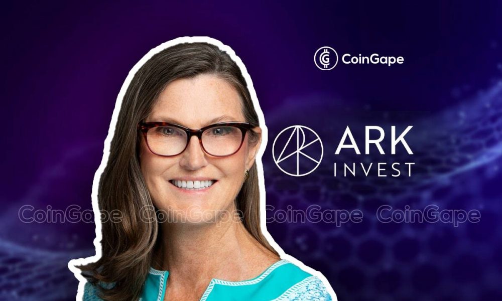 These Cathie Wood Stocks Notched Gains Following The US Job Report