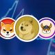 These Dog-Themed Meme Coins Kick Off July On A High