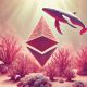 Whale Withdraws More Than $206,000,000 in Ethereum (ETH) From Bitfinex: On-Chain Data