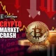 Crypto Market Crash: Why Bitcoin And Altcoins Are Falling