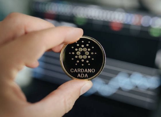 Cardano