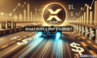 XRP set to skyrocket? Key developments point to massive gains ahead