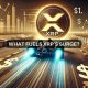 XRP set to skyrocket? Key developments point to massive gains ahead