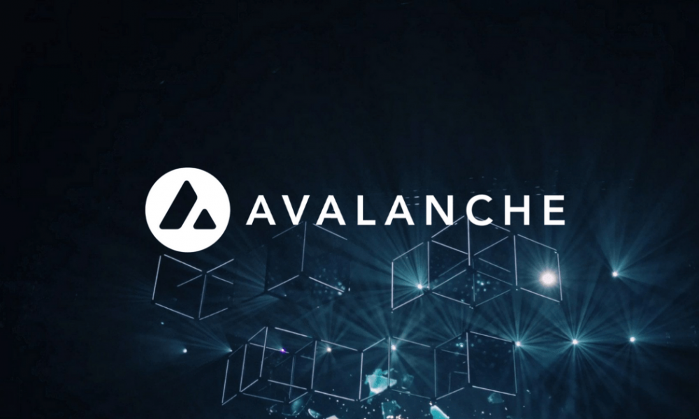 Avalanche (AVAX) 25% Surge Fueled By New Initiatives To Support Developers