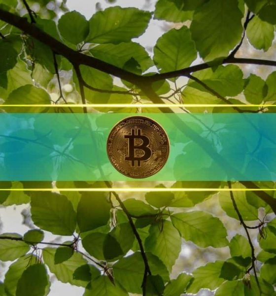 Bitcoin Price to Keep Rising, According to These On-Chain Support Levels