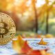 Bitcoin on track for best September on record up 8.36%