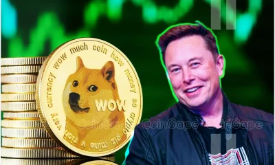 Dogecoin Price Rallies 16% In One Week Amid Elon Musk Support