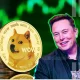 Dogecoin Price Rallies 16% In One Week Amid Elon Musk Support