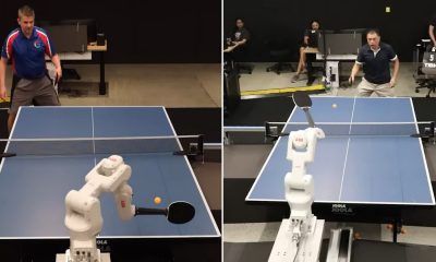 Google AI robot plays tennis with humans in new research venture: Check what happens next