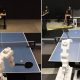 Google AI robot plays tennis with humans in new research venture: Check what happens next