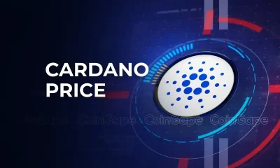 Cardano Price Rallied 166% In Q4 2023, Will History Repeat?