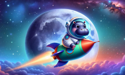 Moo Deng Meme Coin Buyer Turns $800 Into $7.5 Million