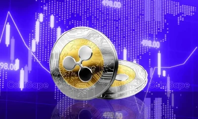 Ripple Whales Bag 47M XRP As SEC's Appeal Deadline Nears, What's Next?