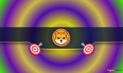 Shiba Inu (SHIB) Hits Another Major Milestone: Details