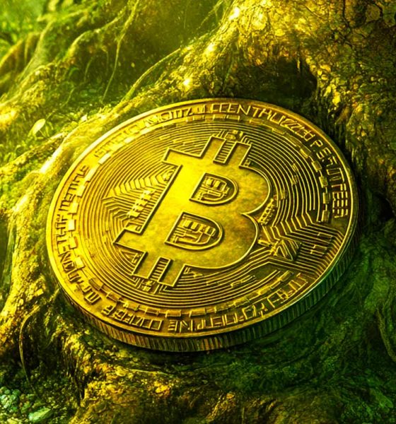 Trader Says Bitcoin Set To Rip Past Six-Figures After US Election – Here’s His Price Path