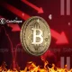 Why Is Bitcoin Facing a Price Fall?