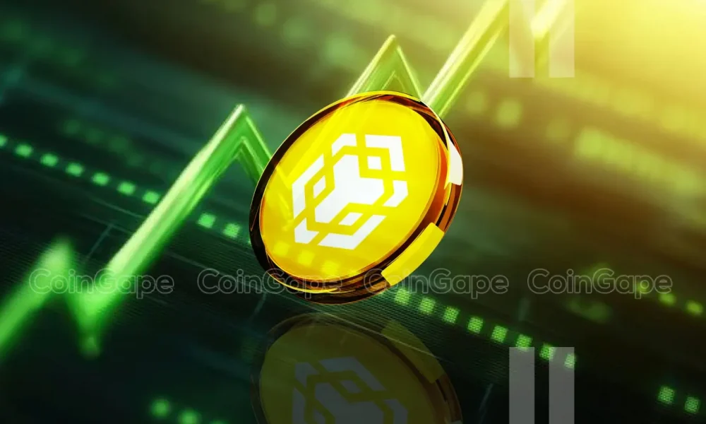 BNB coin