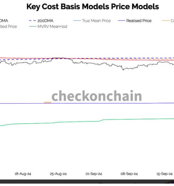 Bitcoin hits support from key level at short-term holder cost basis