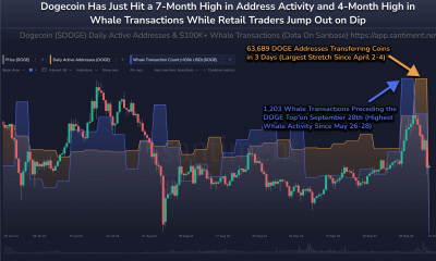 Dogecoin whale activity