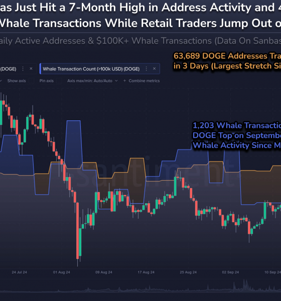 Dogecoin whale activity