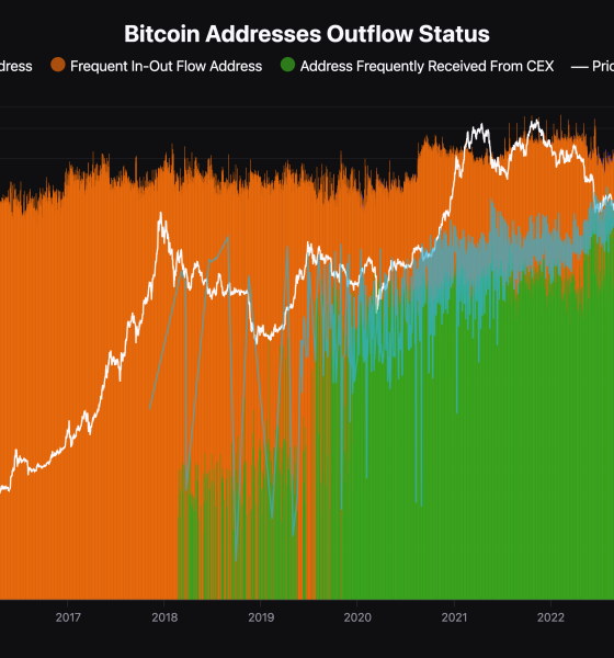 Ten years of Bitcoin address data uncovers investor behaviors and market shifts