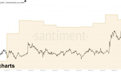 XRP Whales