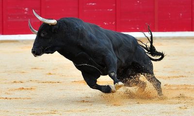 Bitcoin spikes to $66k amid ‘Uptober’ sentiment