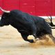 Bitcoin spikes to $66k amid ‘Uptober’ sentiment