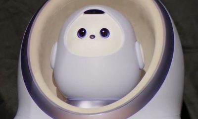 CES Shows Future Is Robots That Cool Your Soup, Pick Up Socks