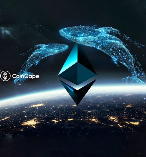 Ethereum Whales Bag 100,000 ETH Amid Recent Dip, What's Next?