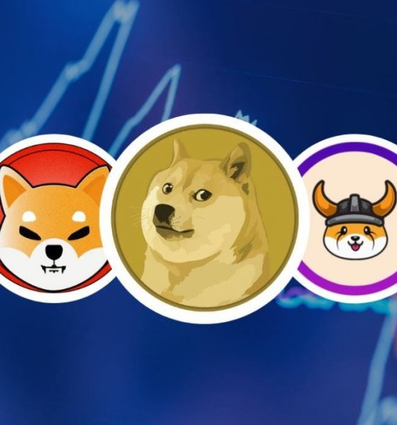 Memecoins To Mature By 2030? CEO Sees Stability On The Way