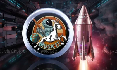 MuskIt Coin Price Rockets