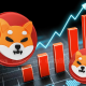 Shiba Inu price