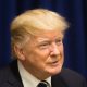 Ein Foto von US-Präsident Donald Trump