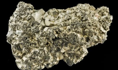 "Fools Gold, NA, NA, NA_2013-08-19-15.29.57 ZS PMax" by Sam Droege is marked with Public Domain Mark 1.0.